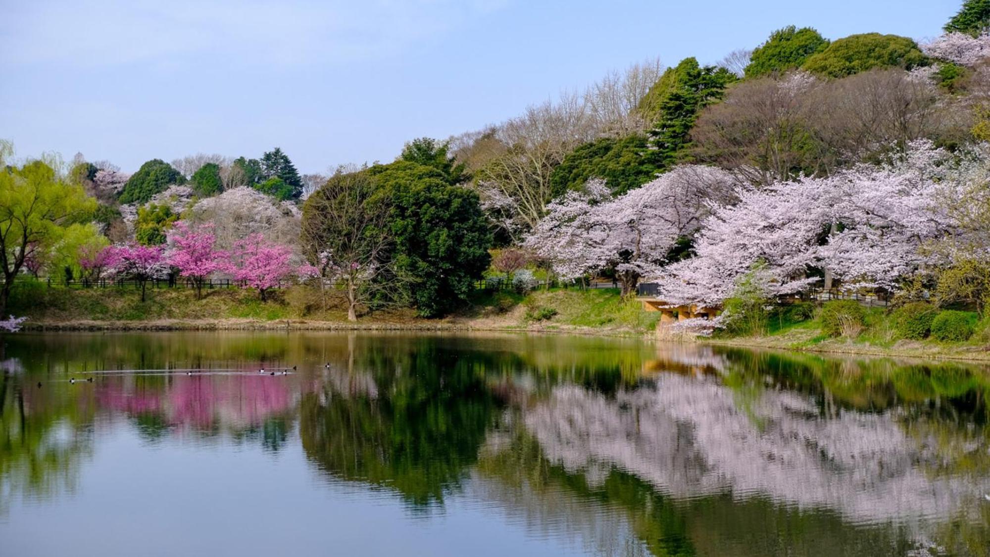 Toyoko Inn Yokohama Tsurumi Eki Higashi Guchi Exteriör bild